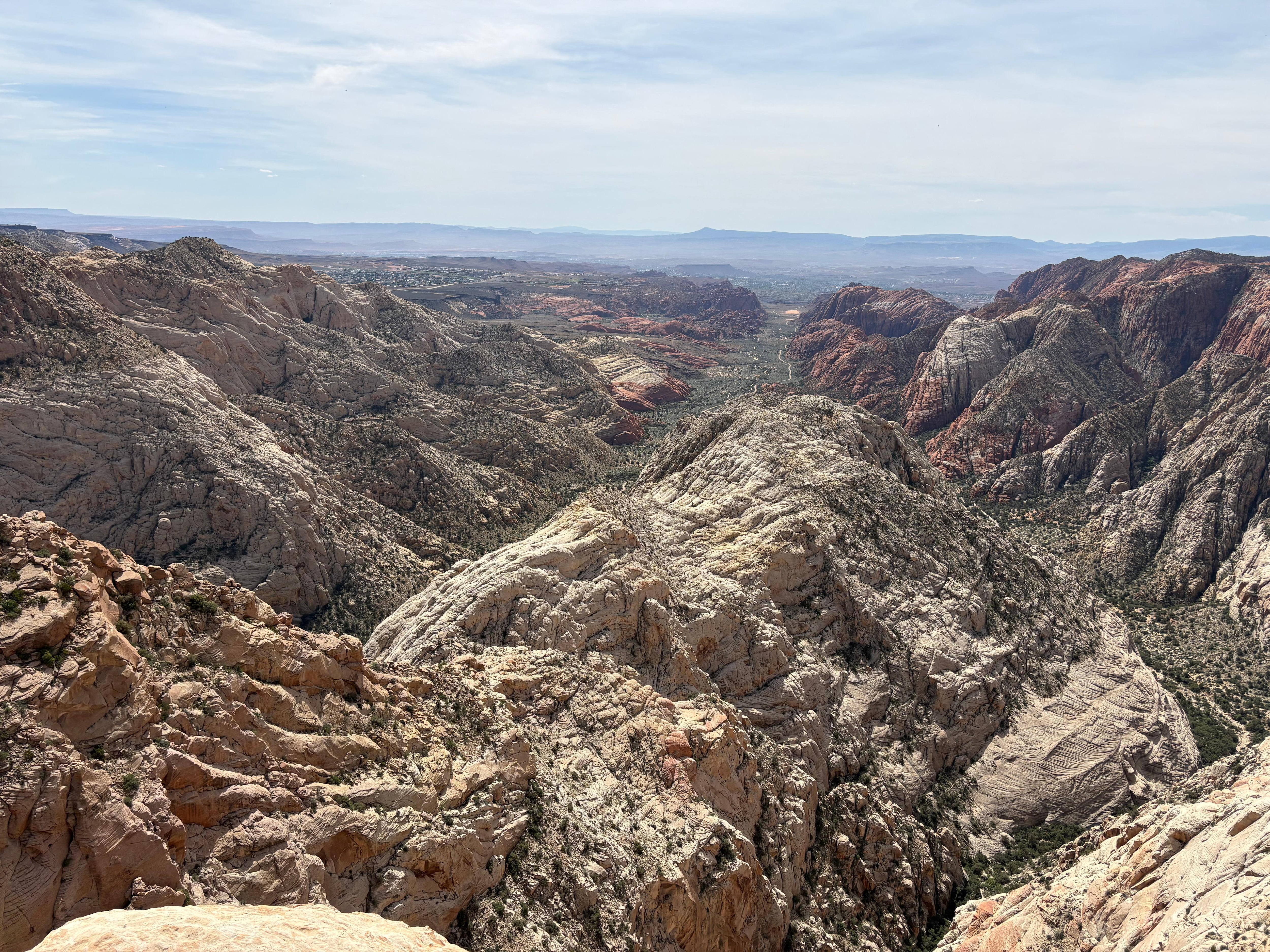 Took this on the Red Mountain Trail hike just minutes up the road. Top of Snow Canyon. 