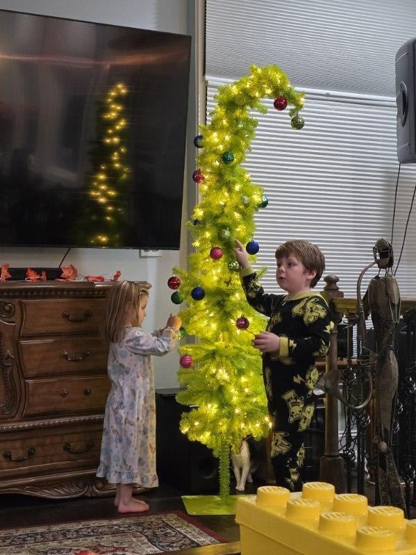 Christmas at the lake