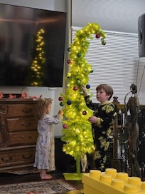 Christmas at the lake