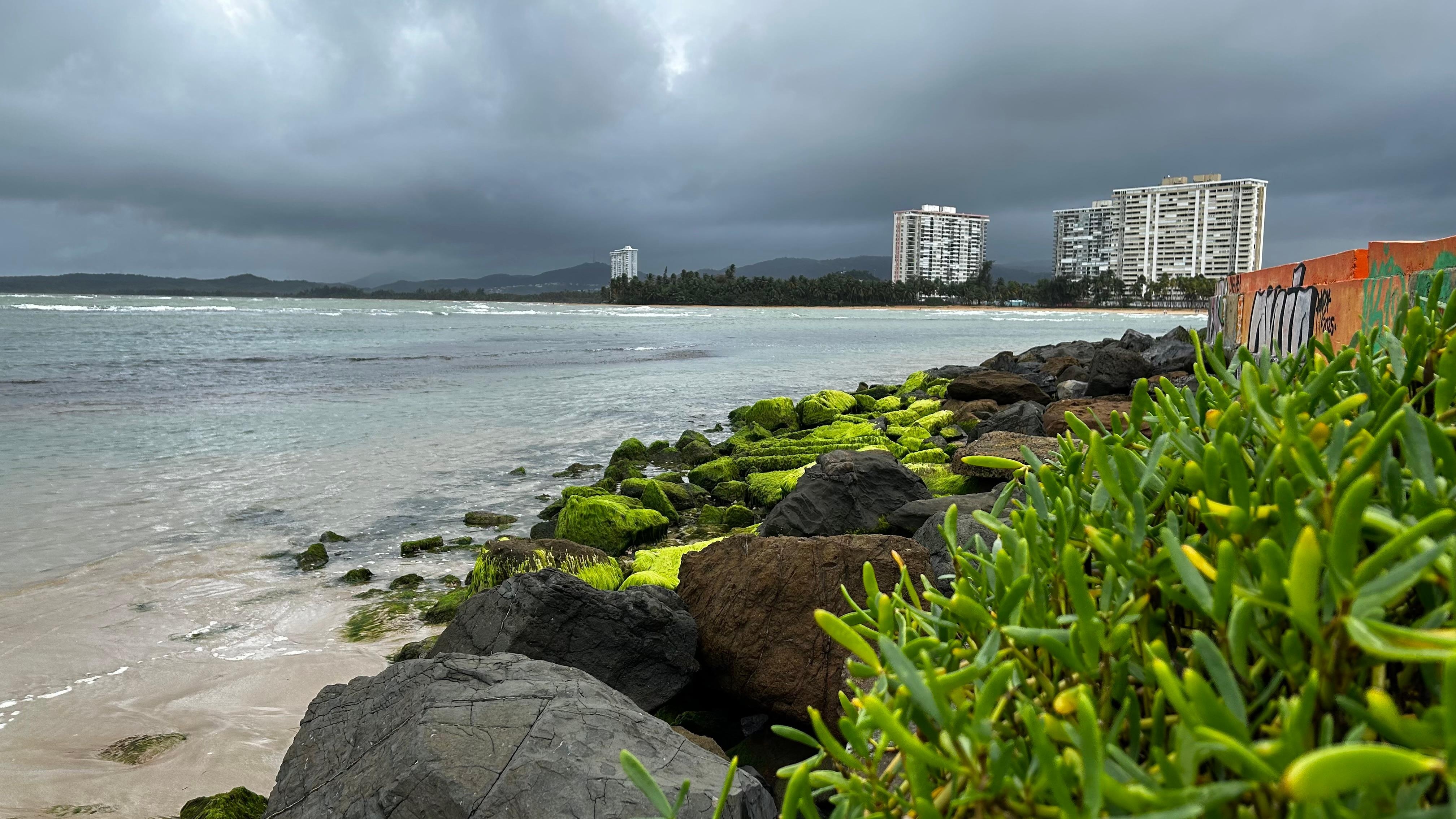 Building from the beach. You can walk for miles along the surf. 