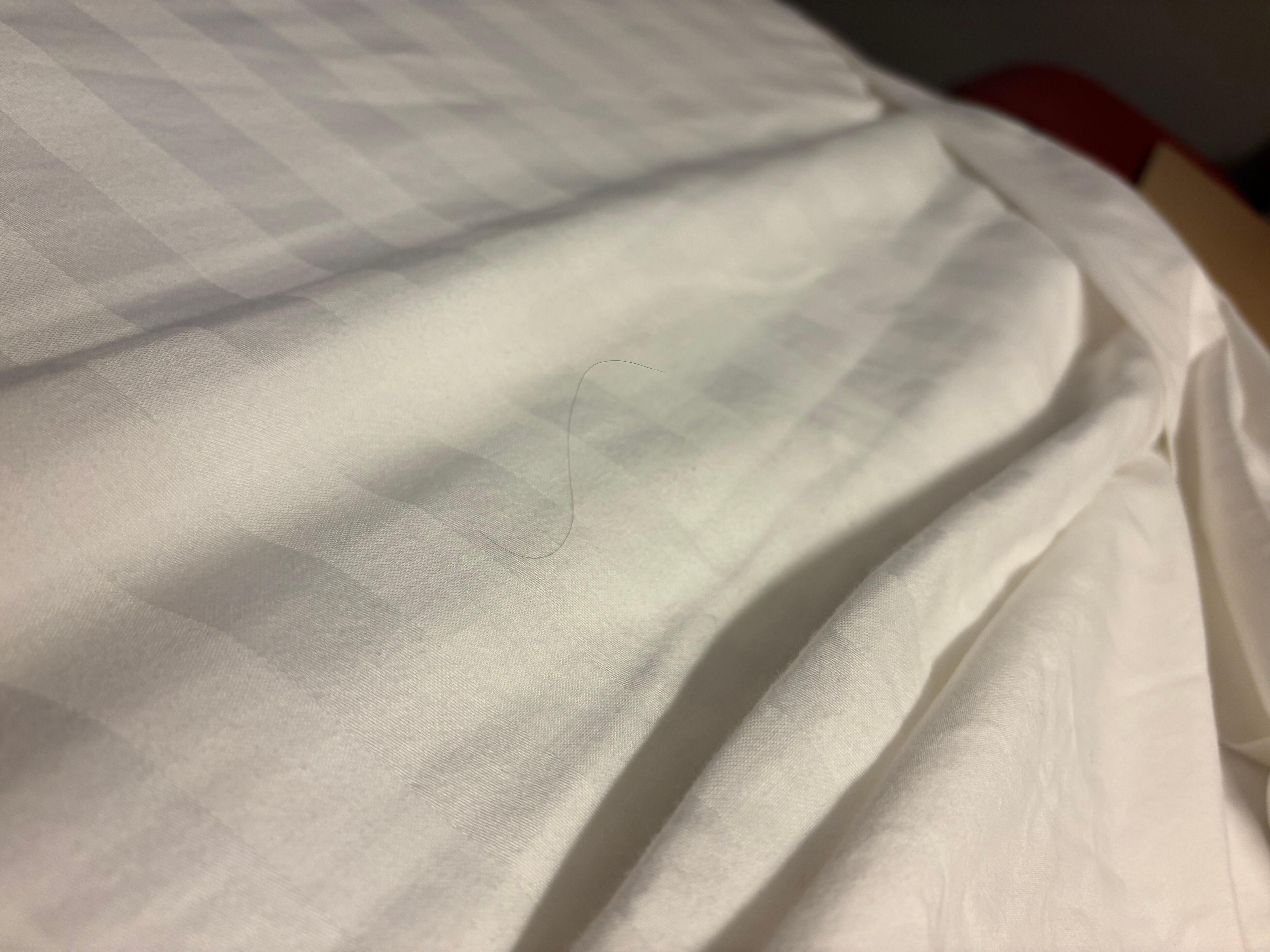 Hair on bedding 
