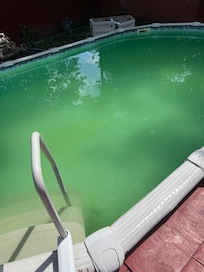 The pool had turned green and the bottom had sludge on it