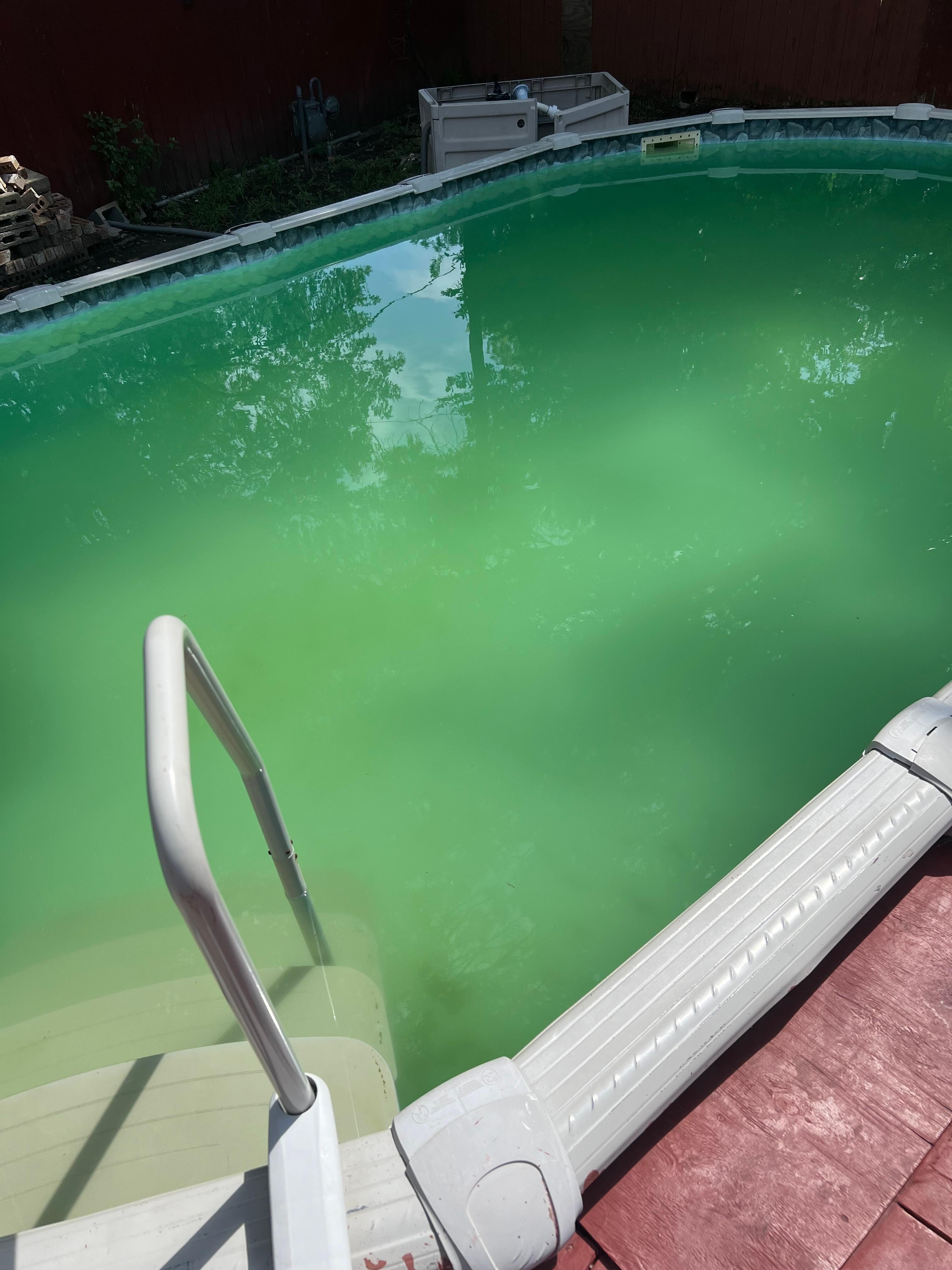 The pool had turned green and the bottom had sludge on it