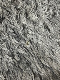 Pill on carpet