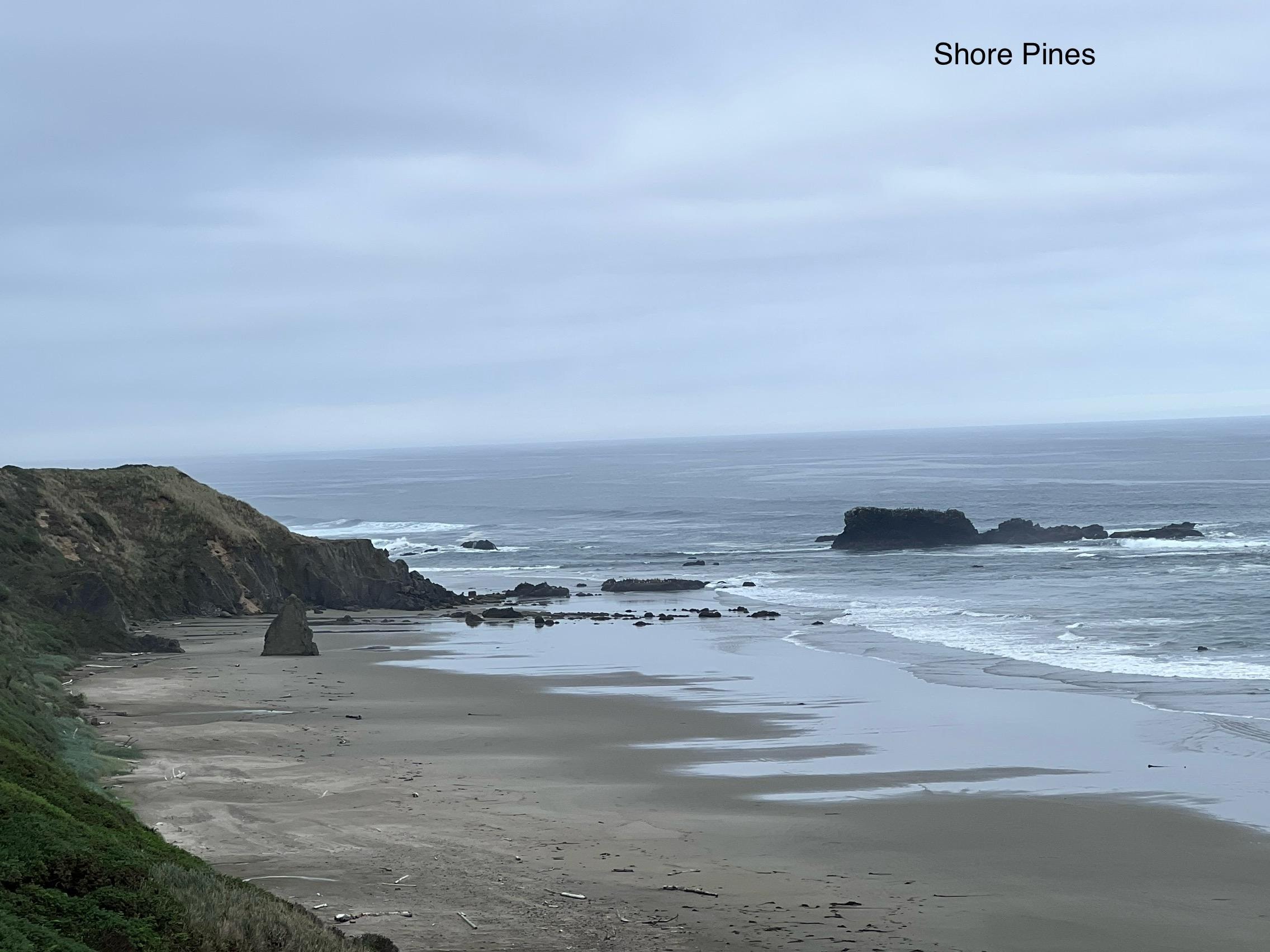 Beach looking south from the pasture.