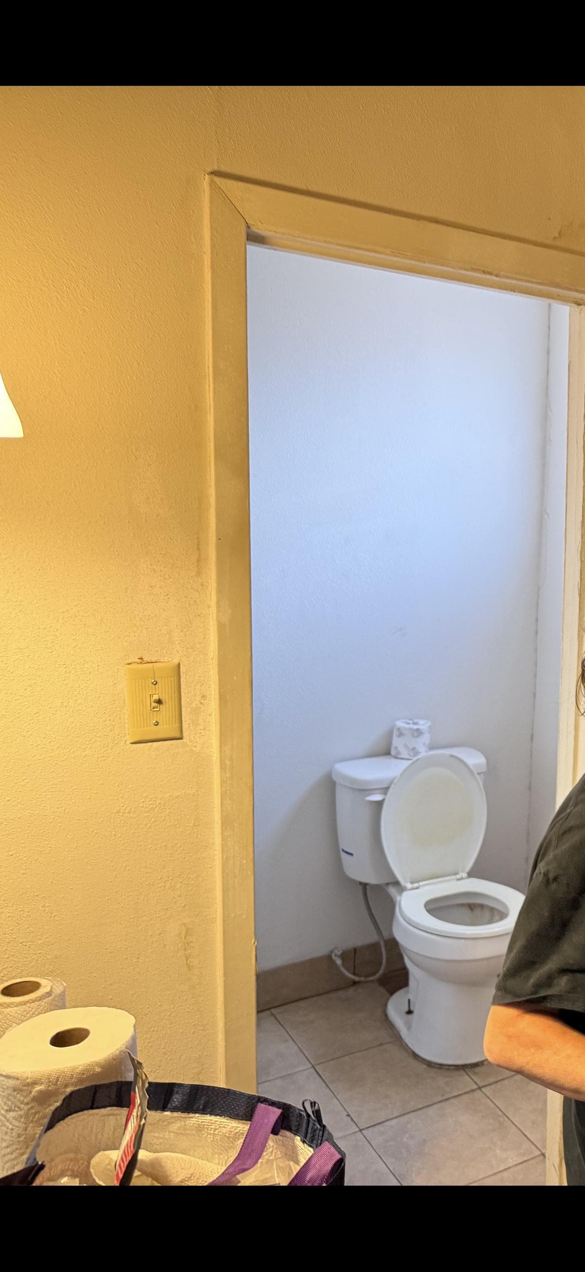 Stained and old toilet seat. 