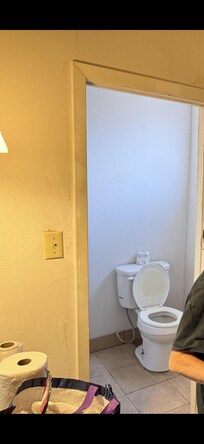 Stained and old toilet seat.