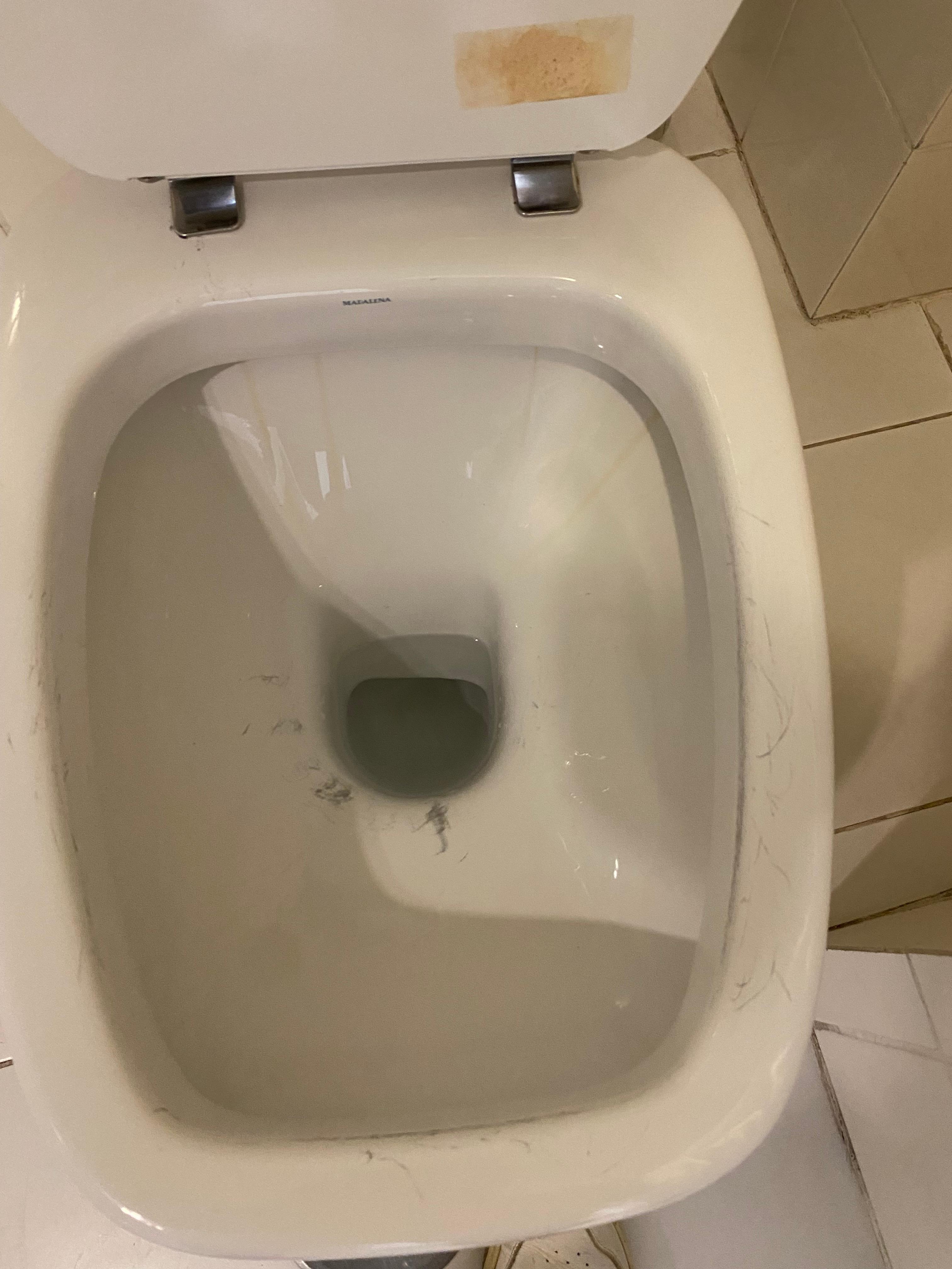 Wc comme rayé par une brosse métallique ☹️