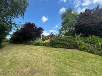 Back garden