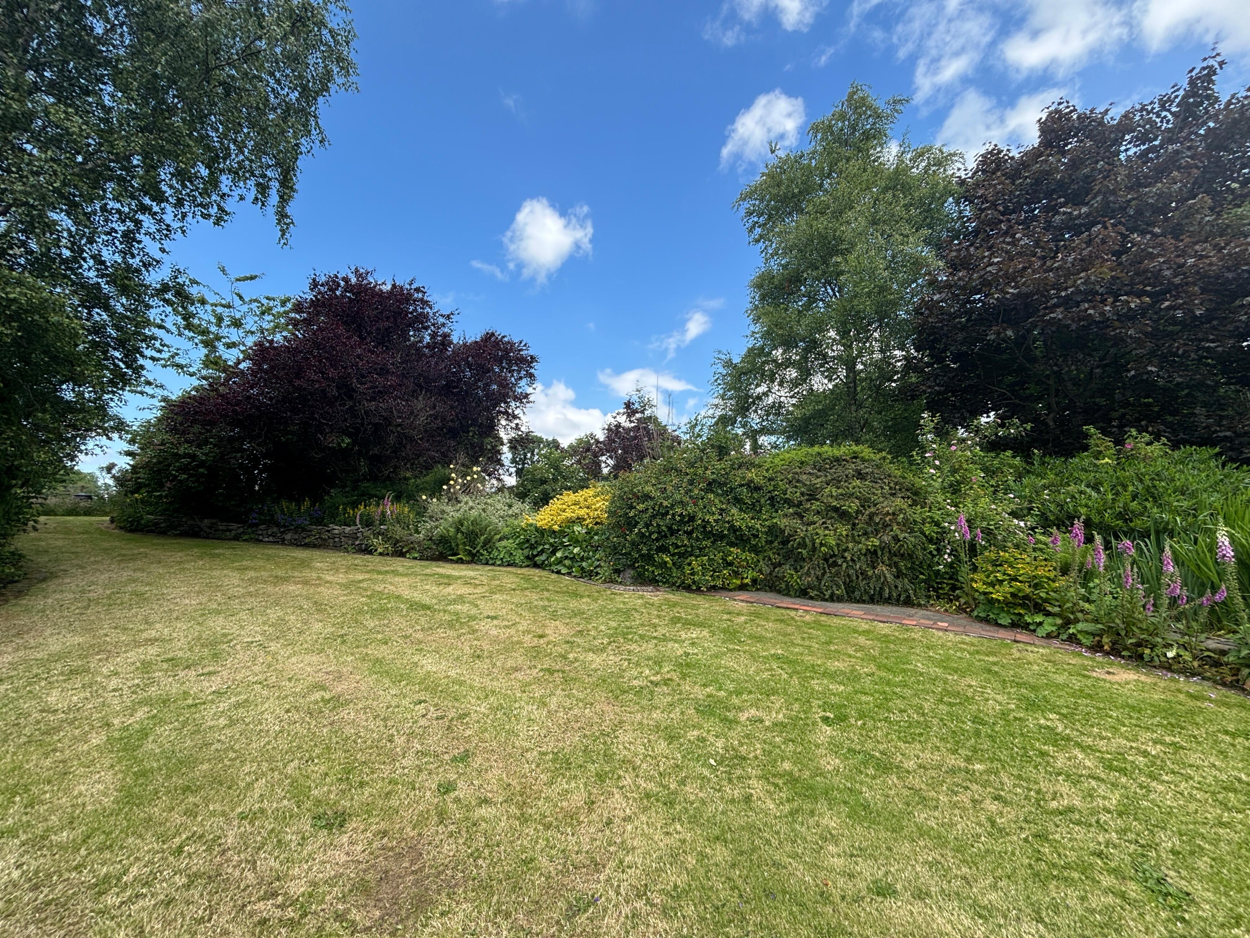Back garden