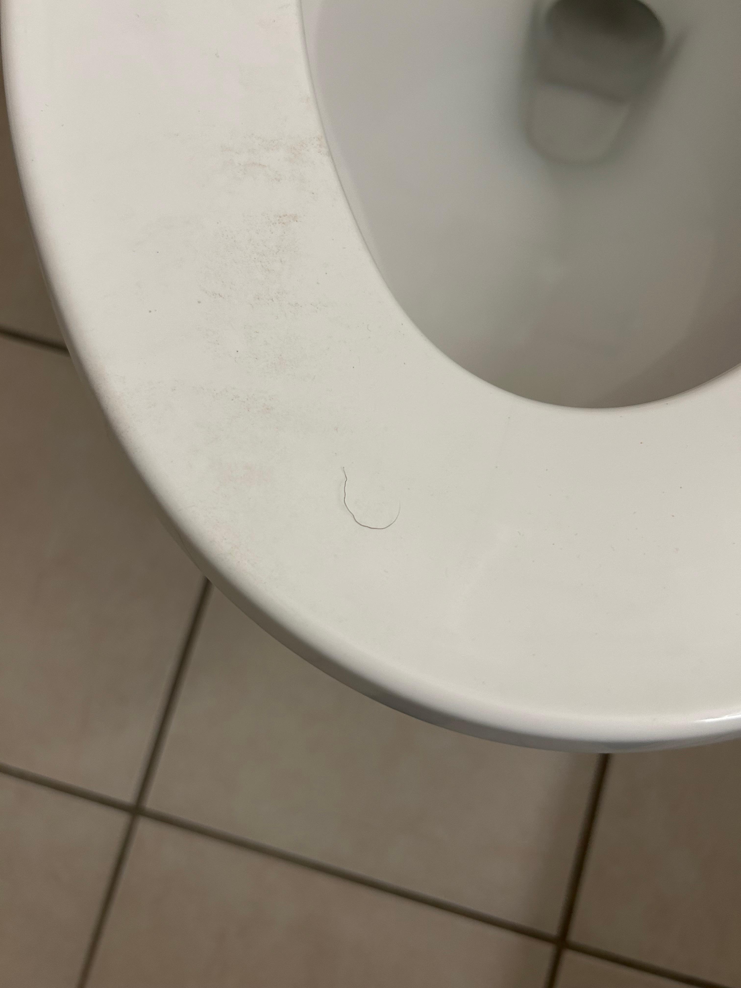 Dirty toilet seat