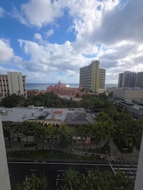 The view