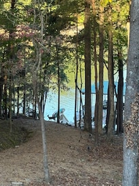 We spotted several deer on the property during the early morning hours