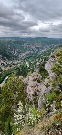 Région