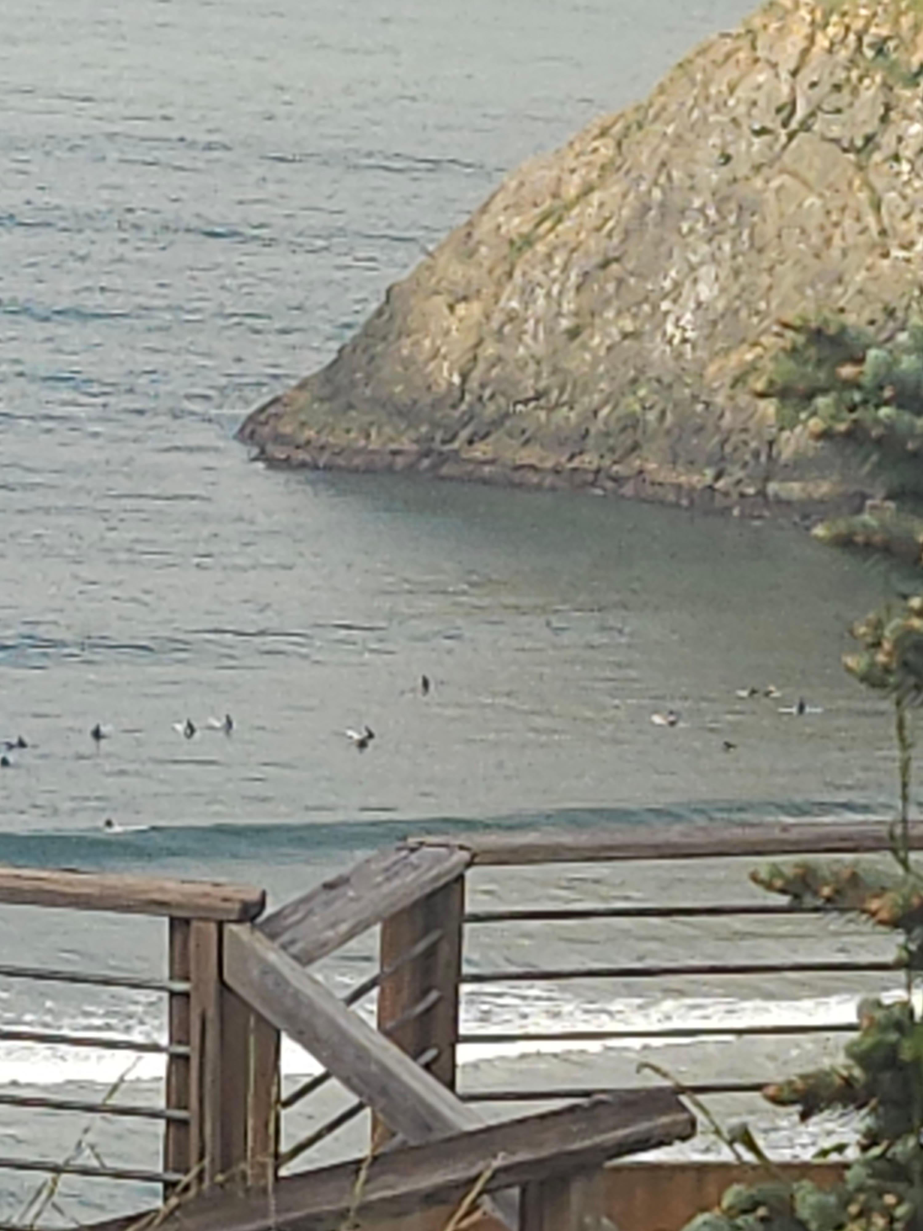 Fun watching all the surfers