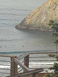 Fun watching all the surfers