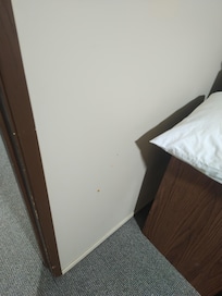 Stain on bed,vomit on wall