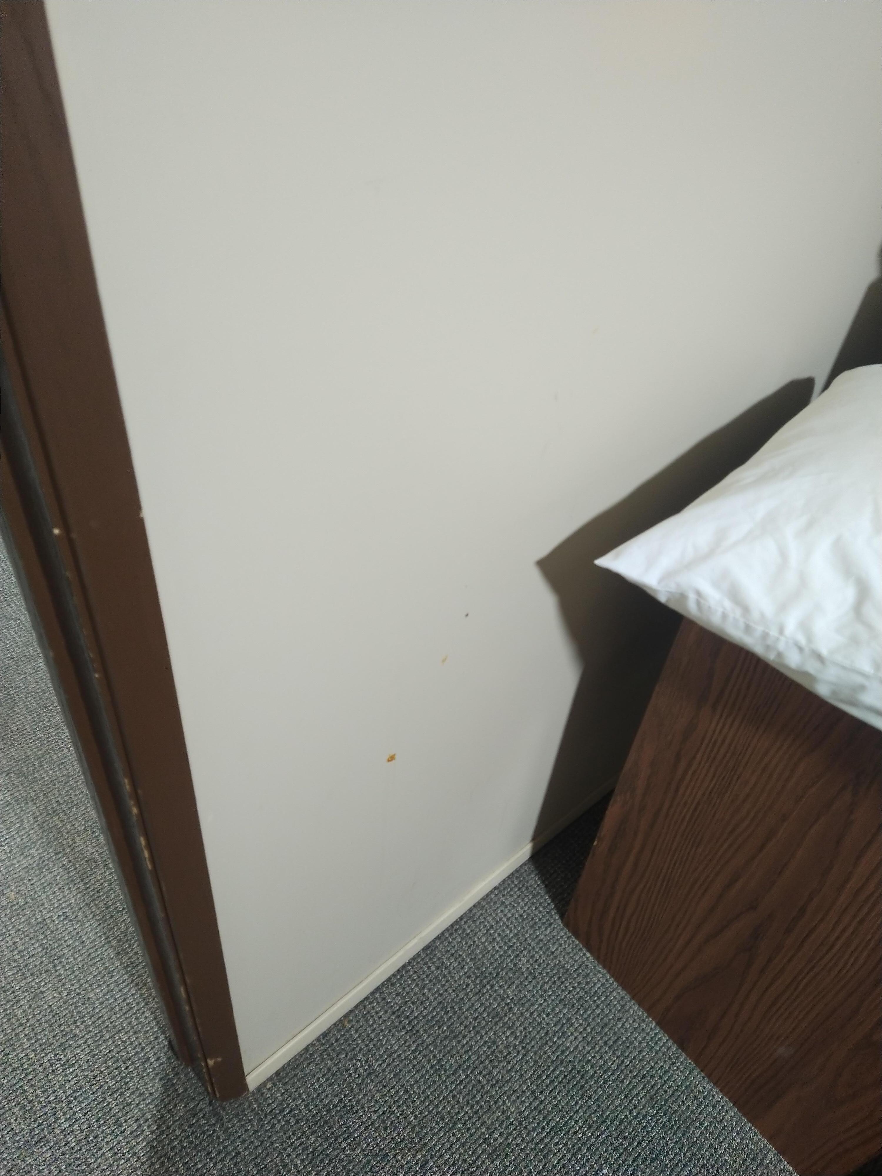 Stain on bed,vomit on wall