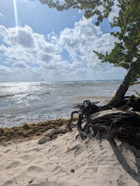 Beach is eroded so far back that it's difficult to find a sunny spot. Palapa were few. Mostly laying in the mangrove.