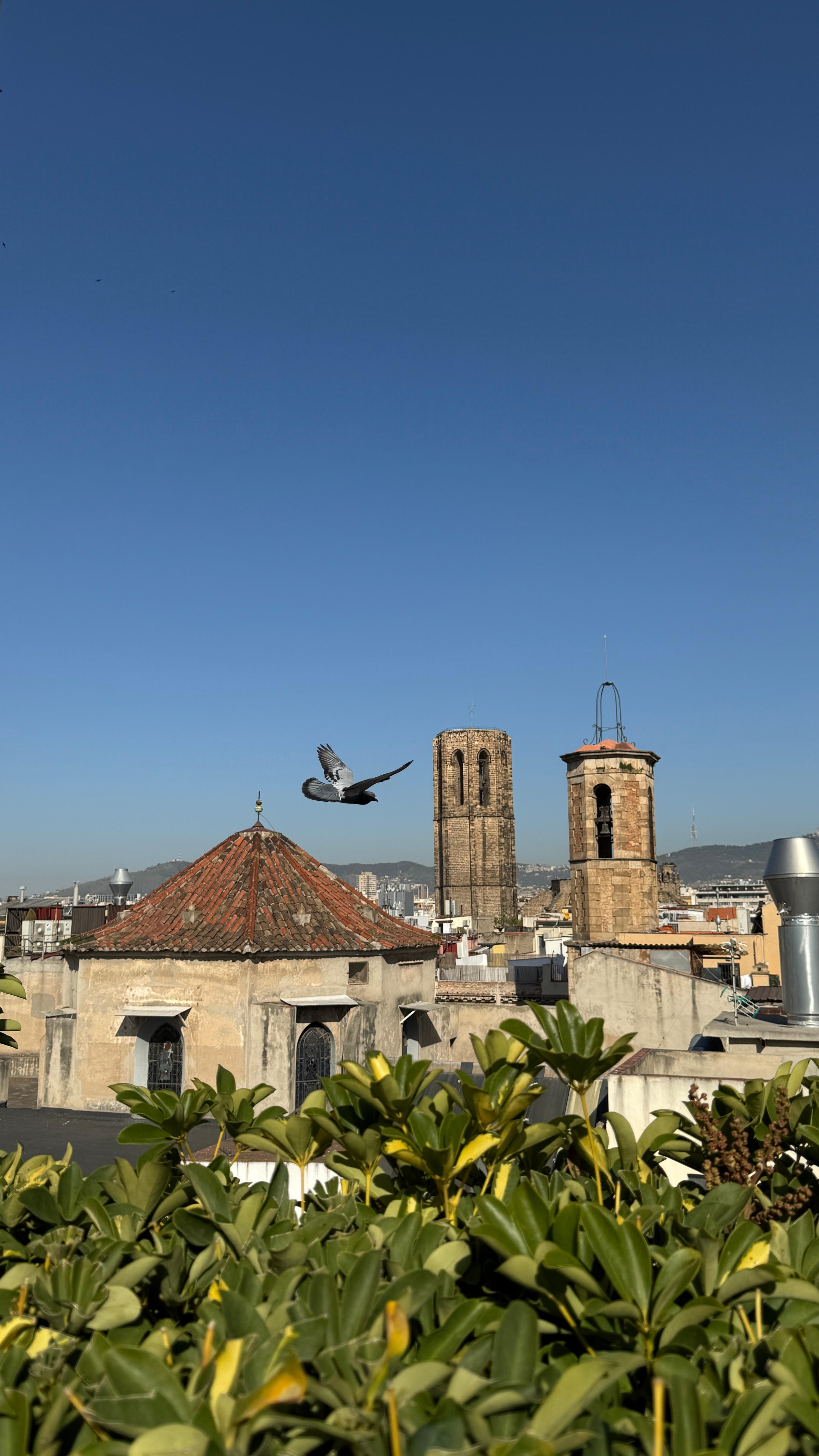 View from the rooftop