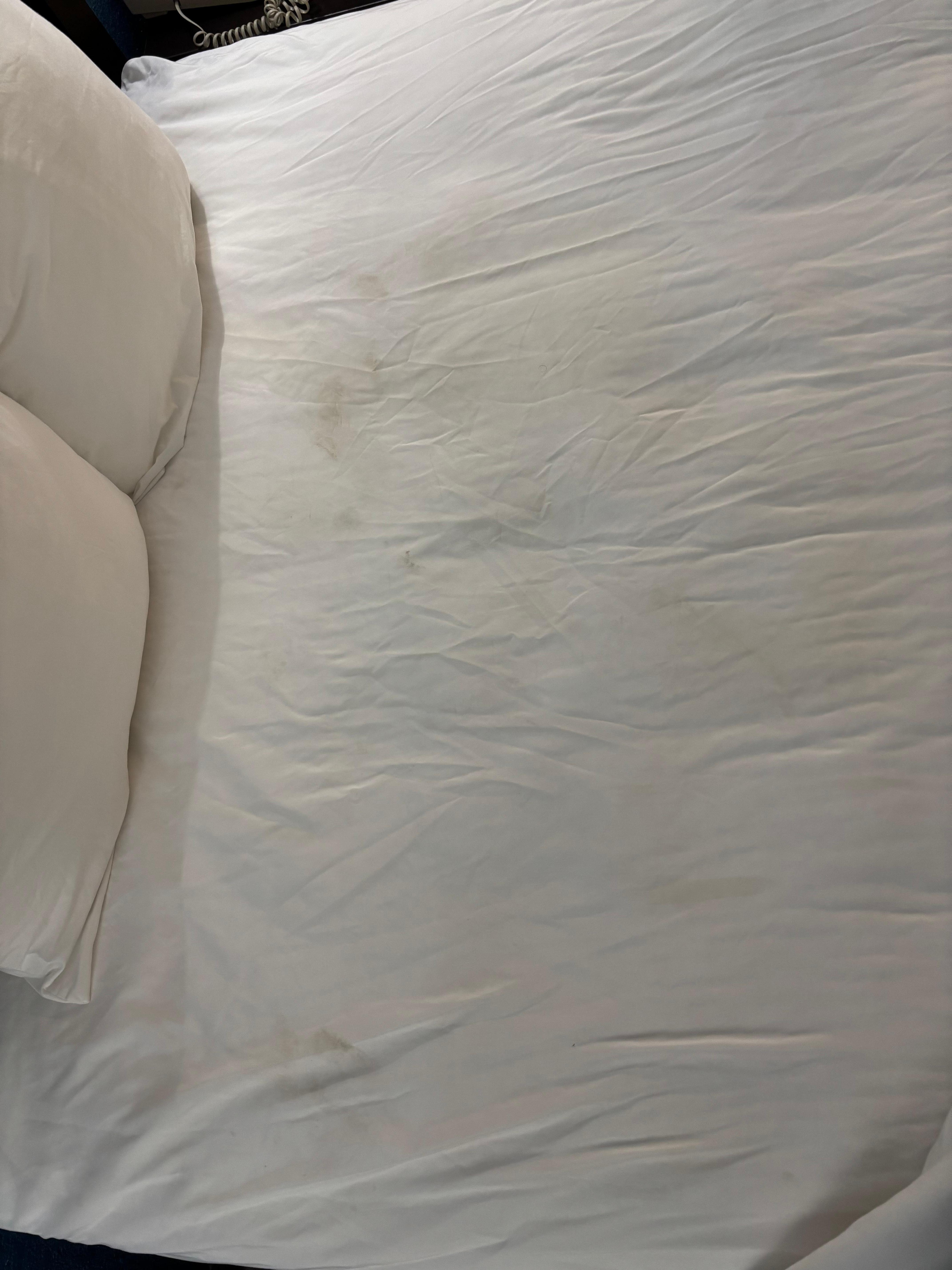 Again. Same bed.