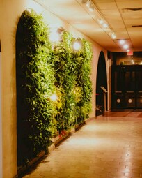 Inside the lobby