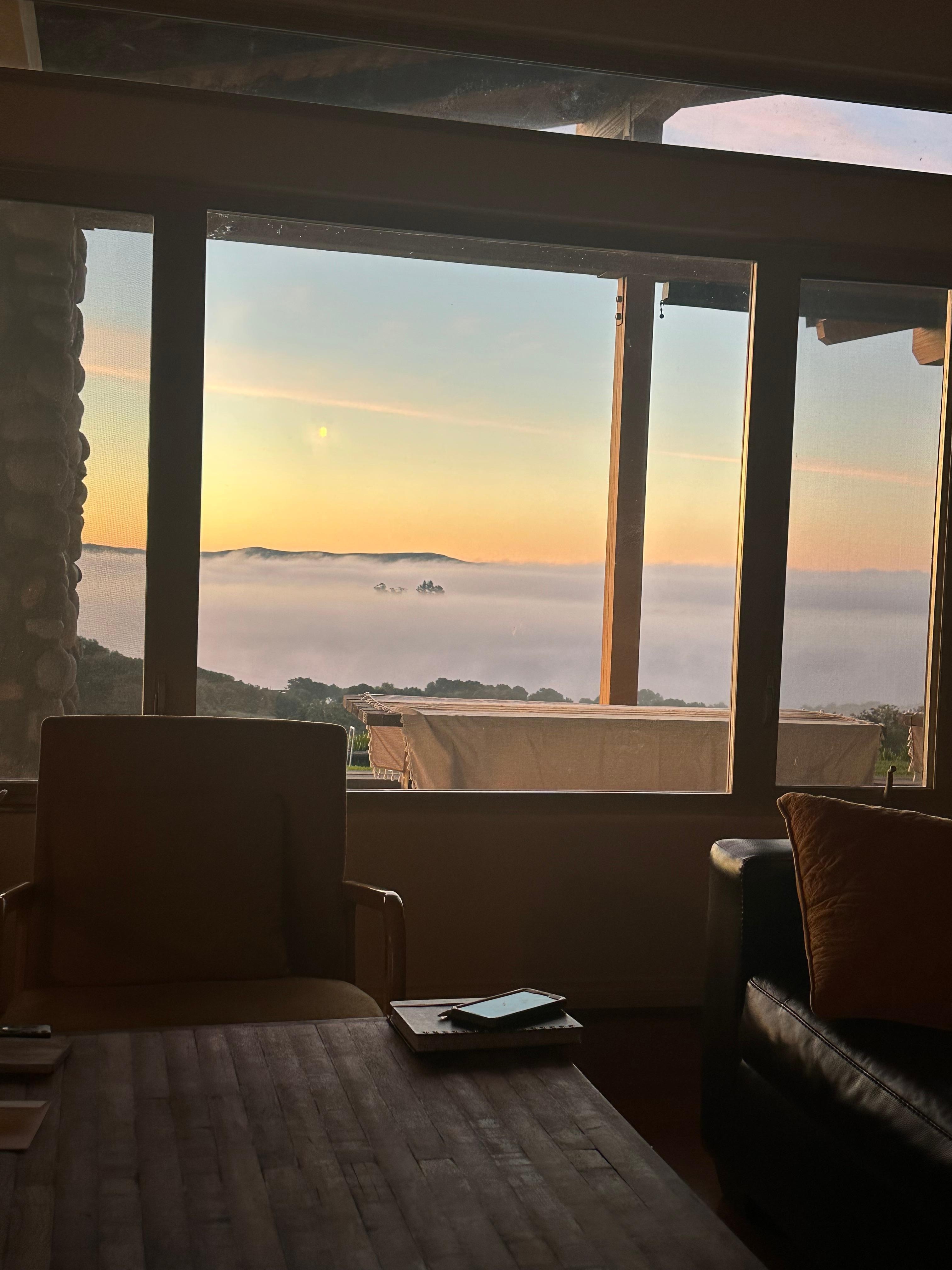 View from living room.