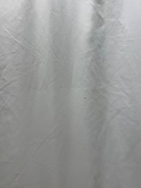 Blood on the shower curtain