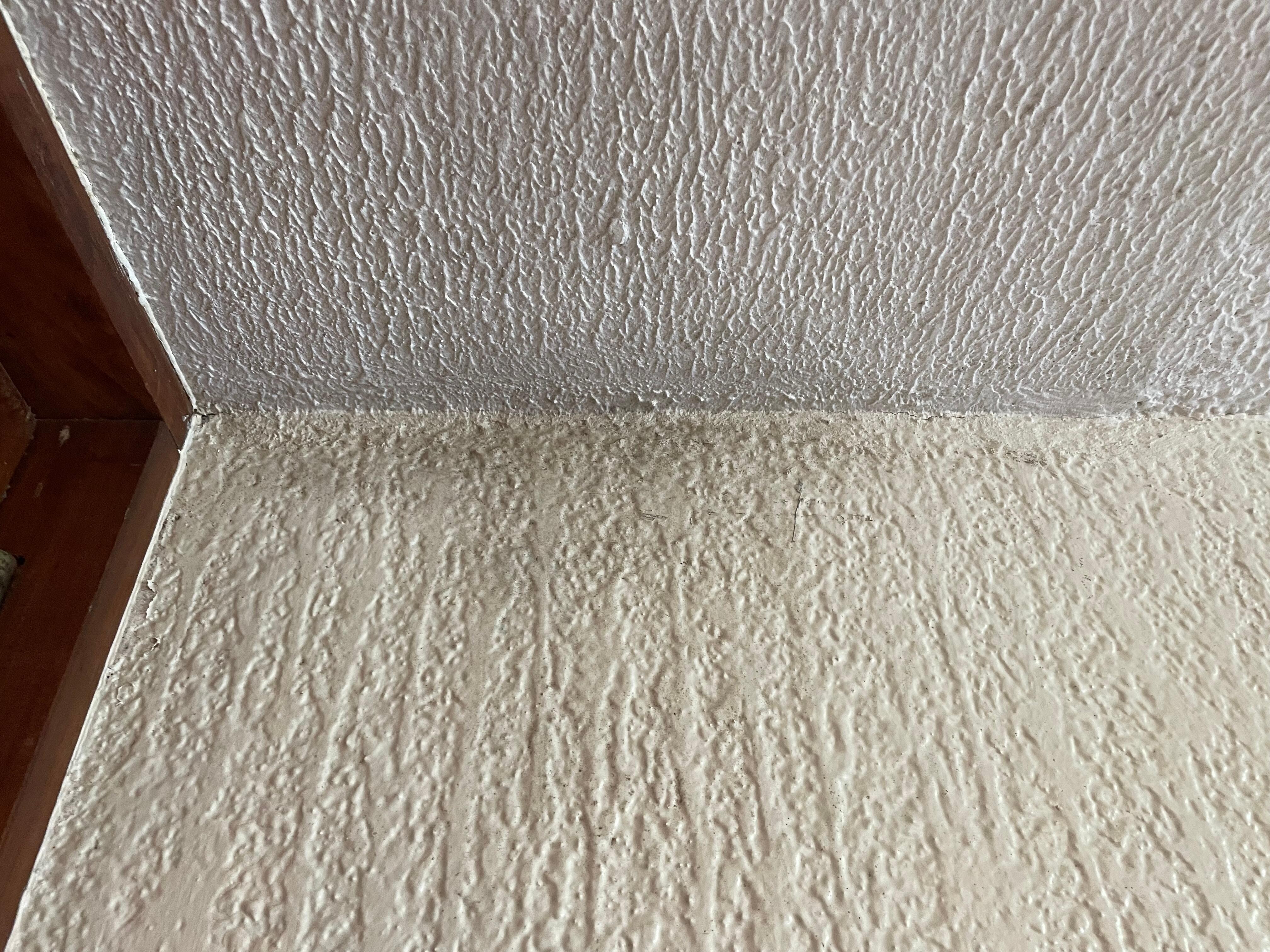 Mold on walls
