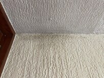 Mold on walls