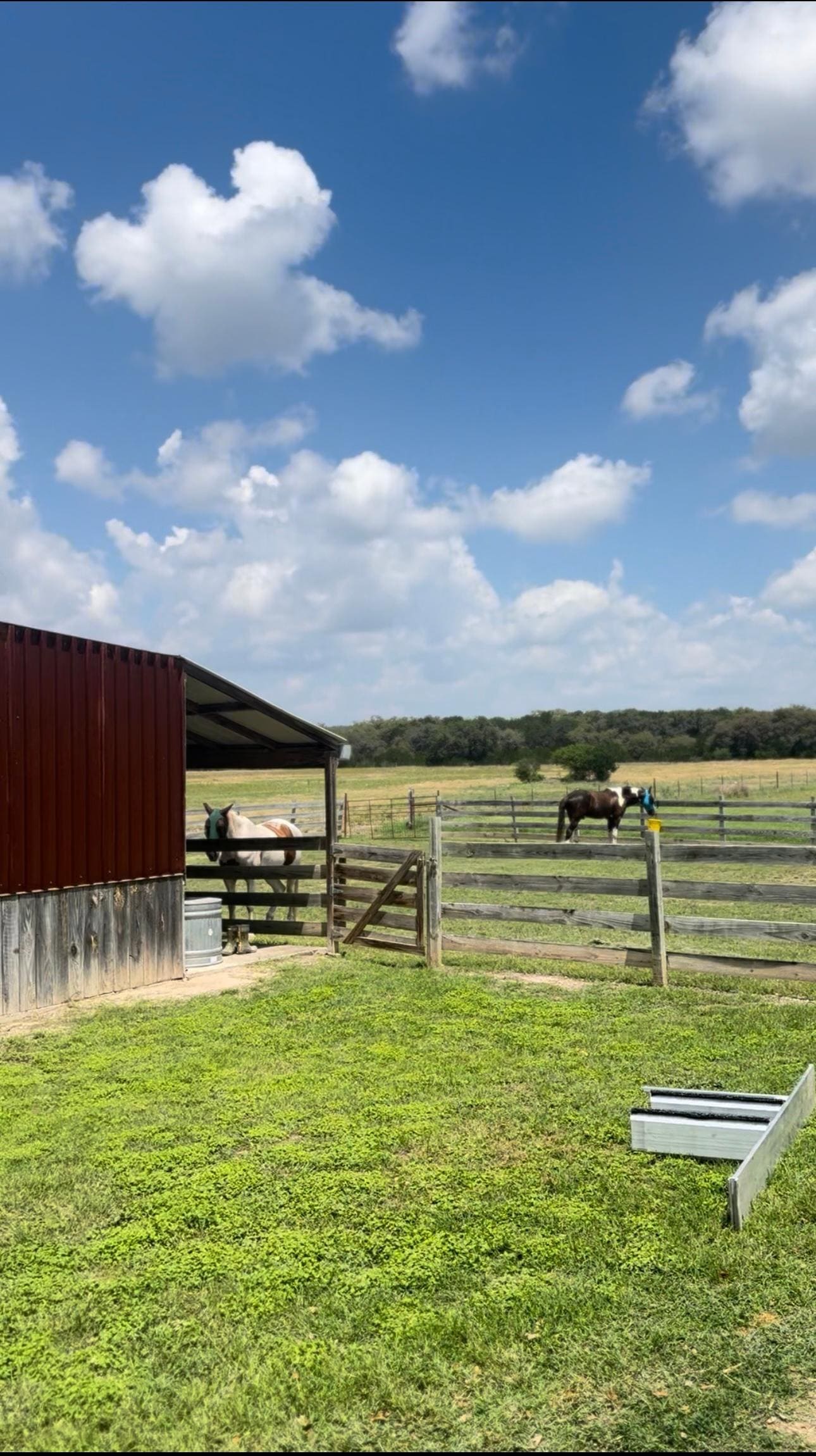 The running area connected to the barn. The grass and good grass. My horses had no problem with colic 