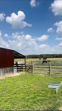 The running area connected to the barn. The grass and good grass. My horses had no problem with colic