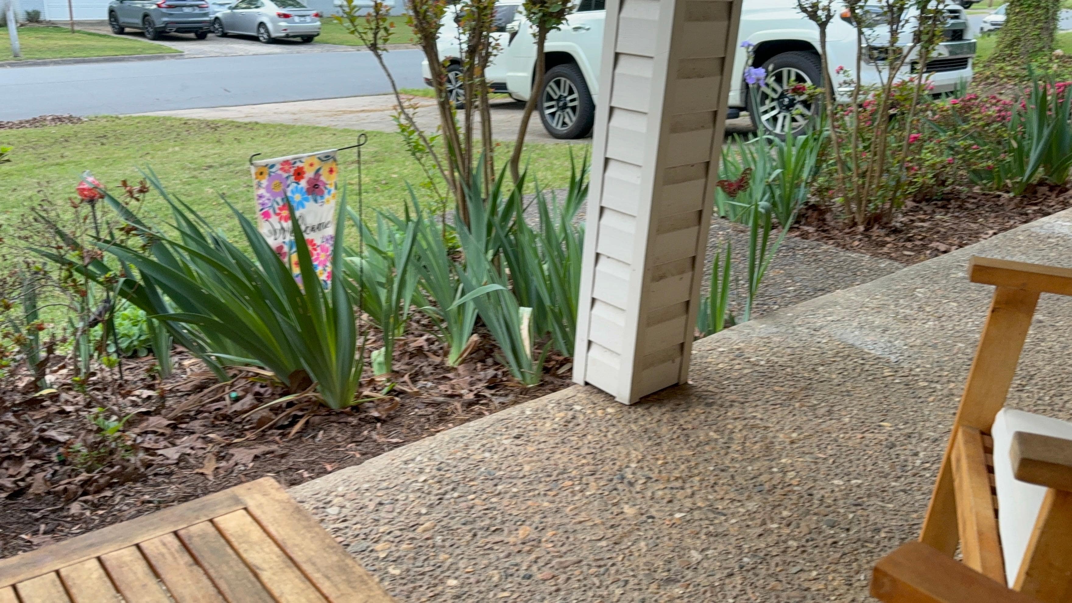 Flowers and birds every morning 