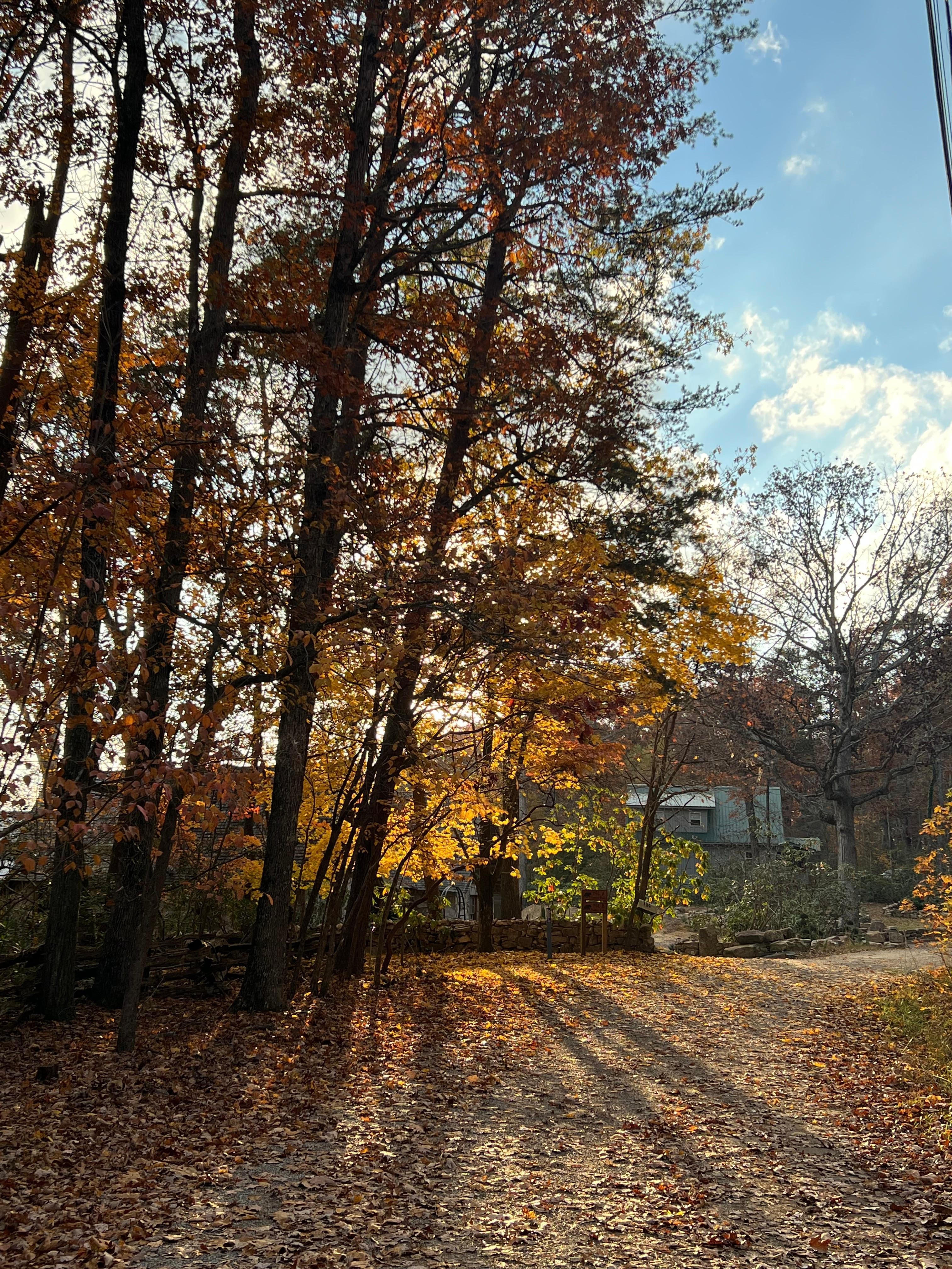 Path close to the cabin. 