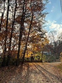 Path close to the cabin.