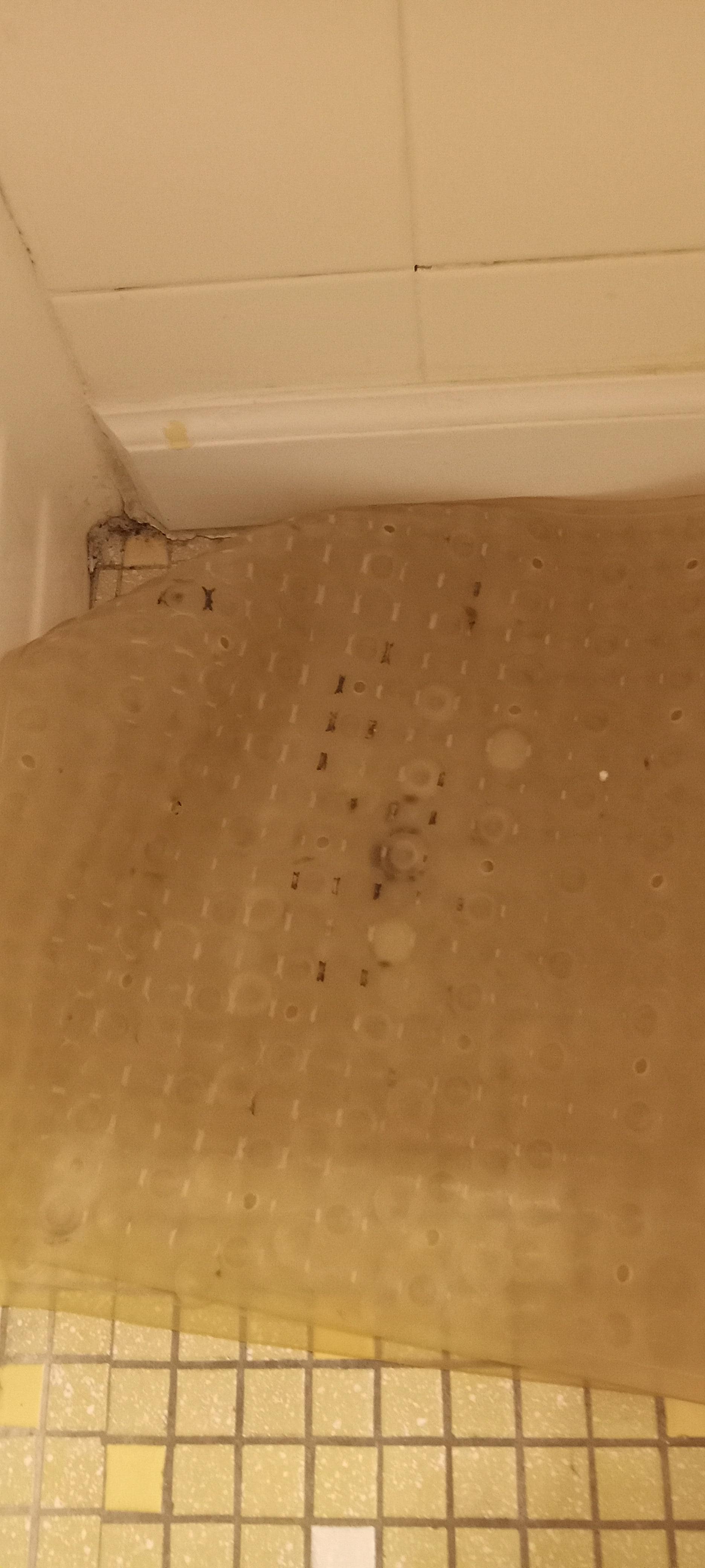 moldy bathmat