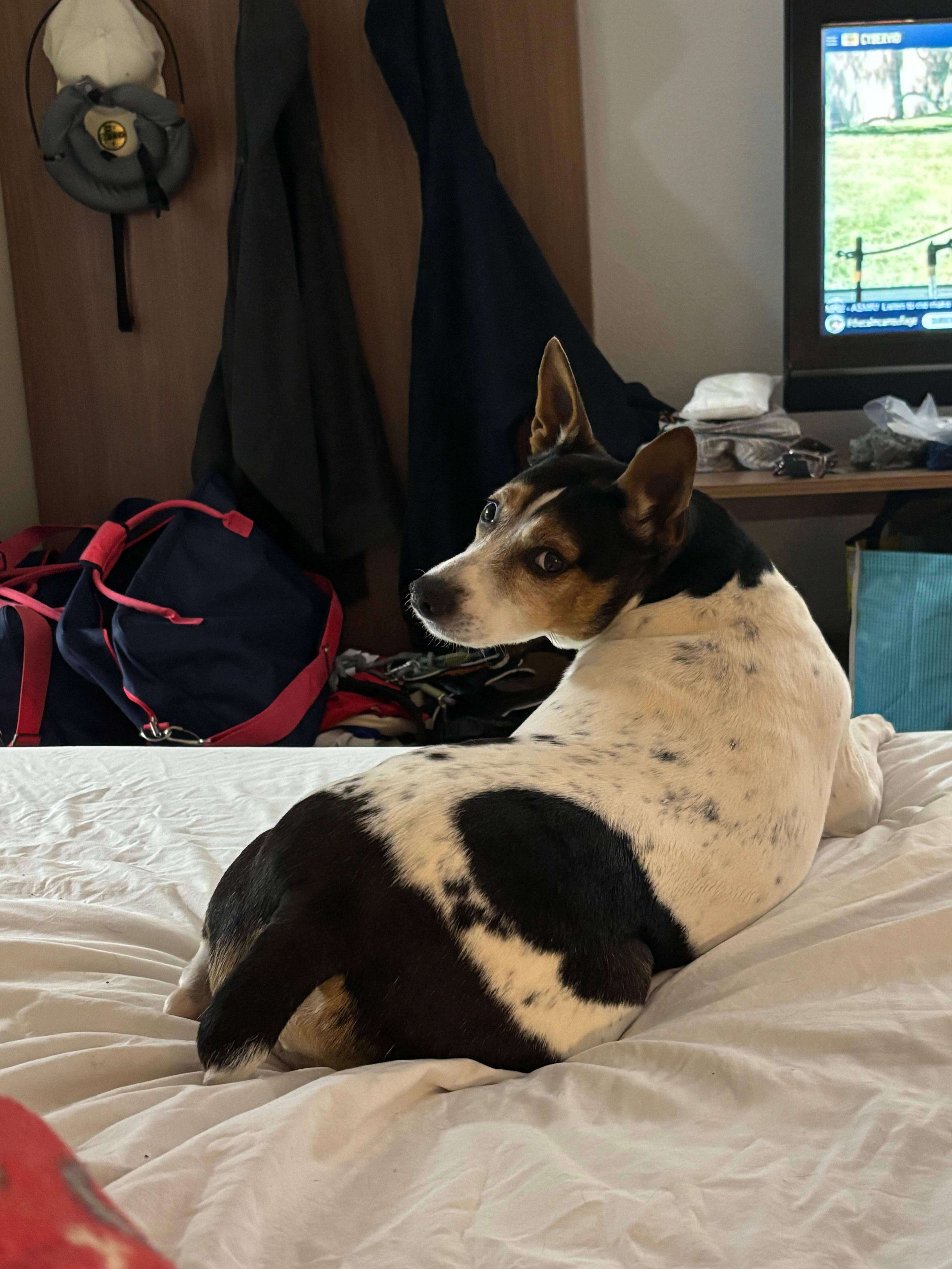 Nice shoe bench and cable TV