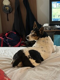 Nice shoe bench and cable TV