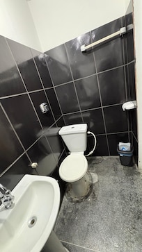 Vaso sanitário descartável