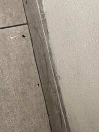 Small roaches coming out of nowhere