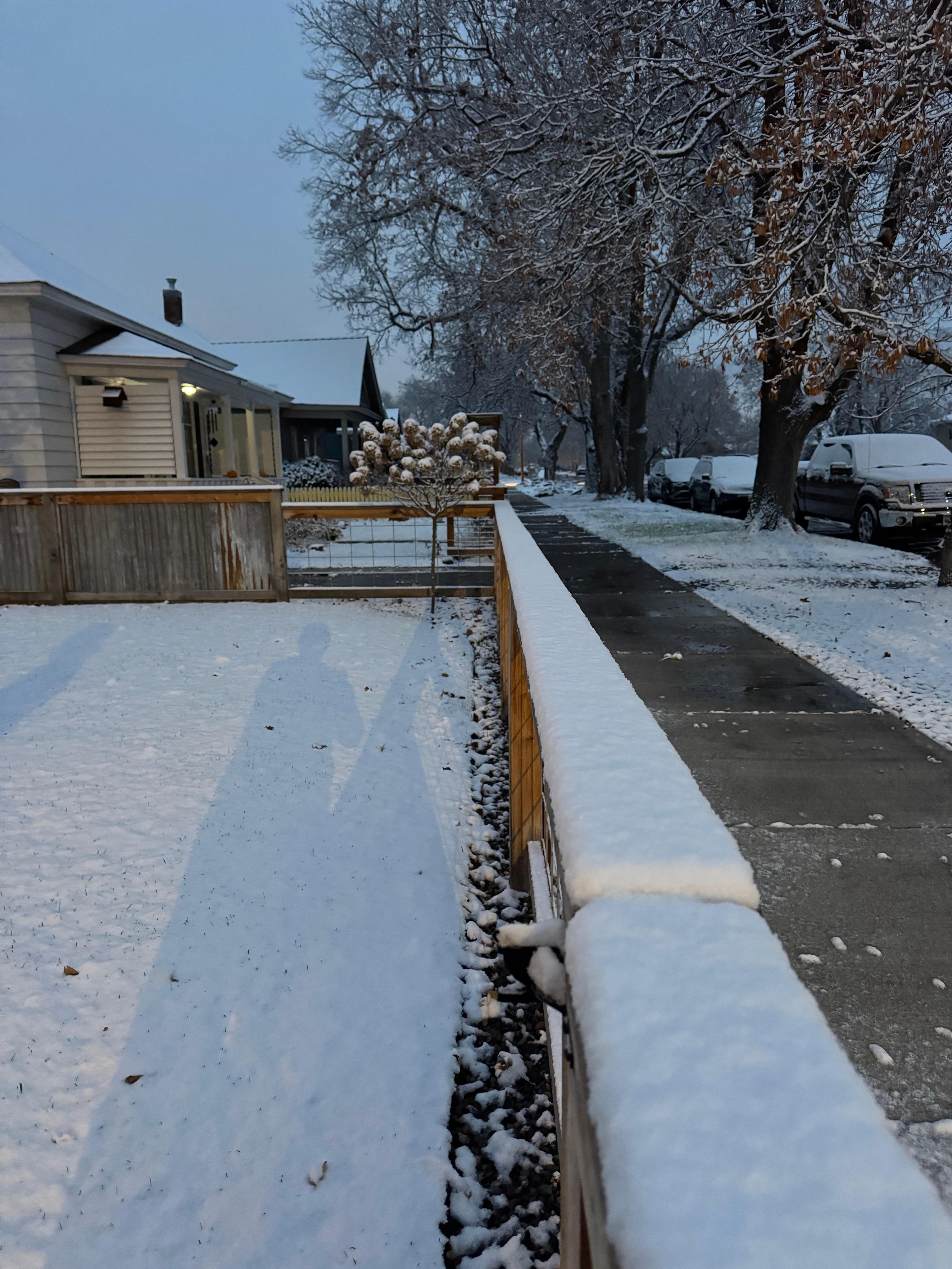 Beautiful tree lined street!