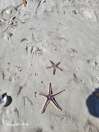 Treasures on the beach