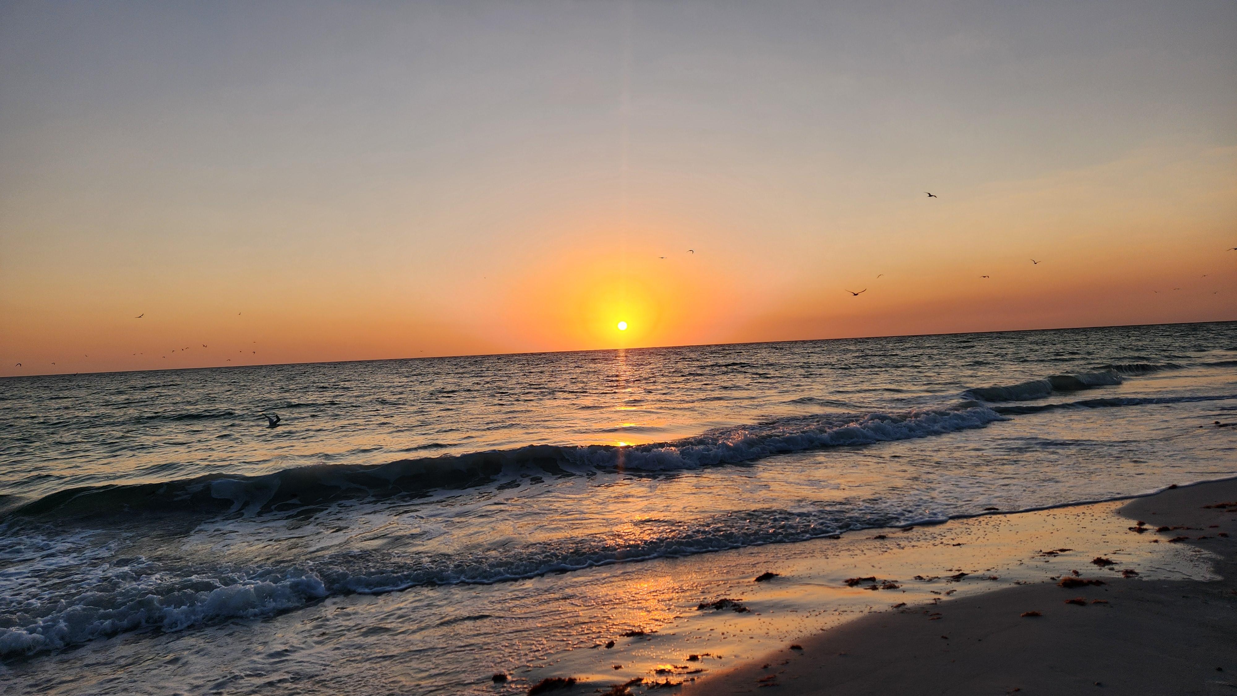 Sunset on the gulf spectacular 