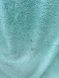 One of the towels with a stain