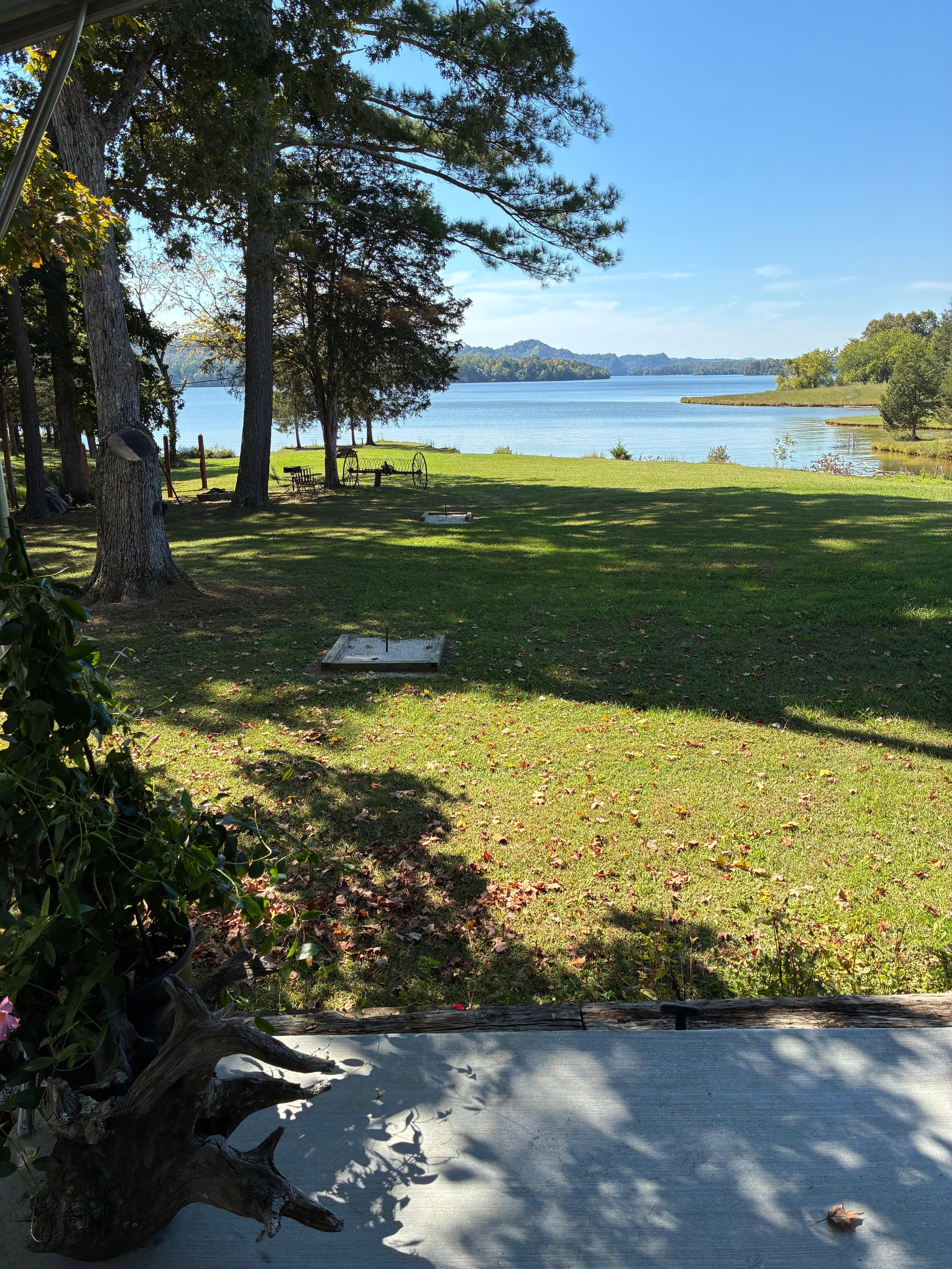Morning view from deck.