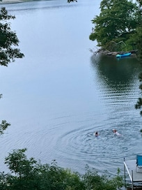Jenkins pond swimming and paddling