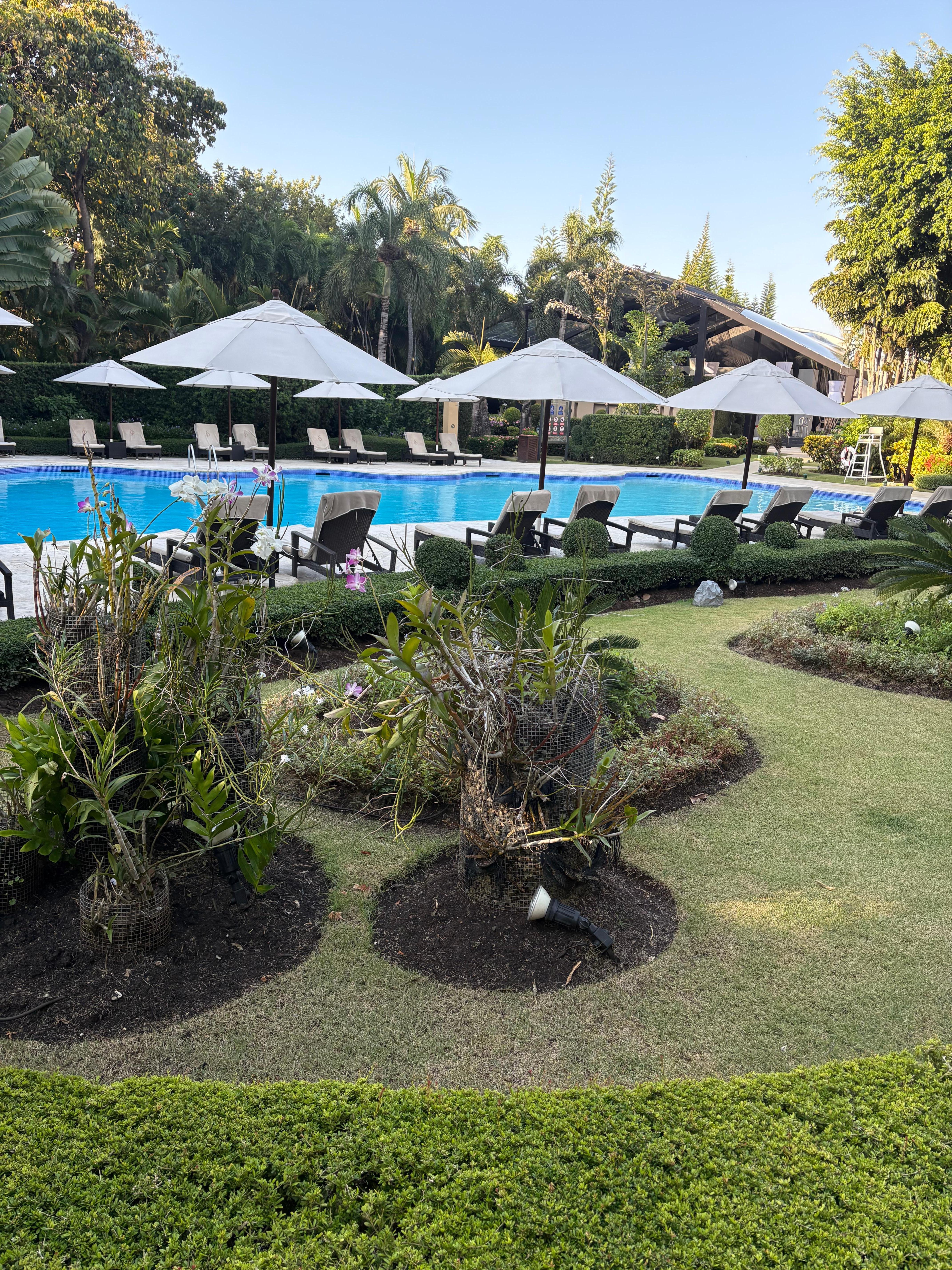 Olympic size pool set in a fabulous garden