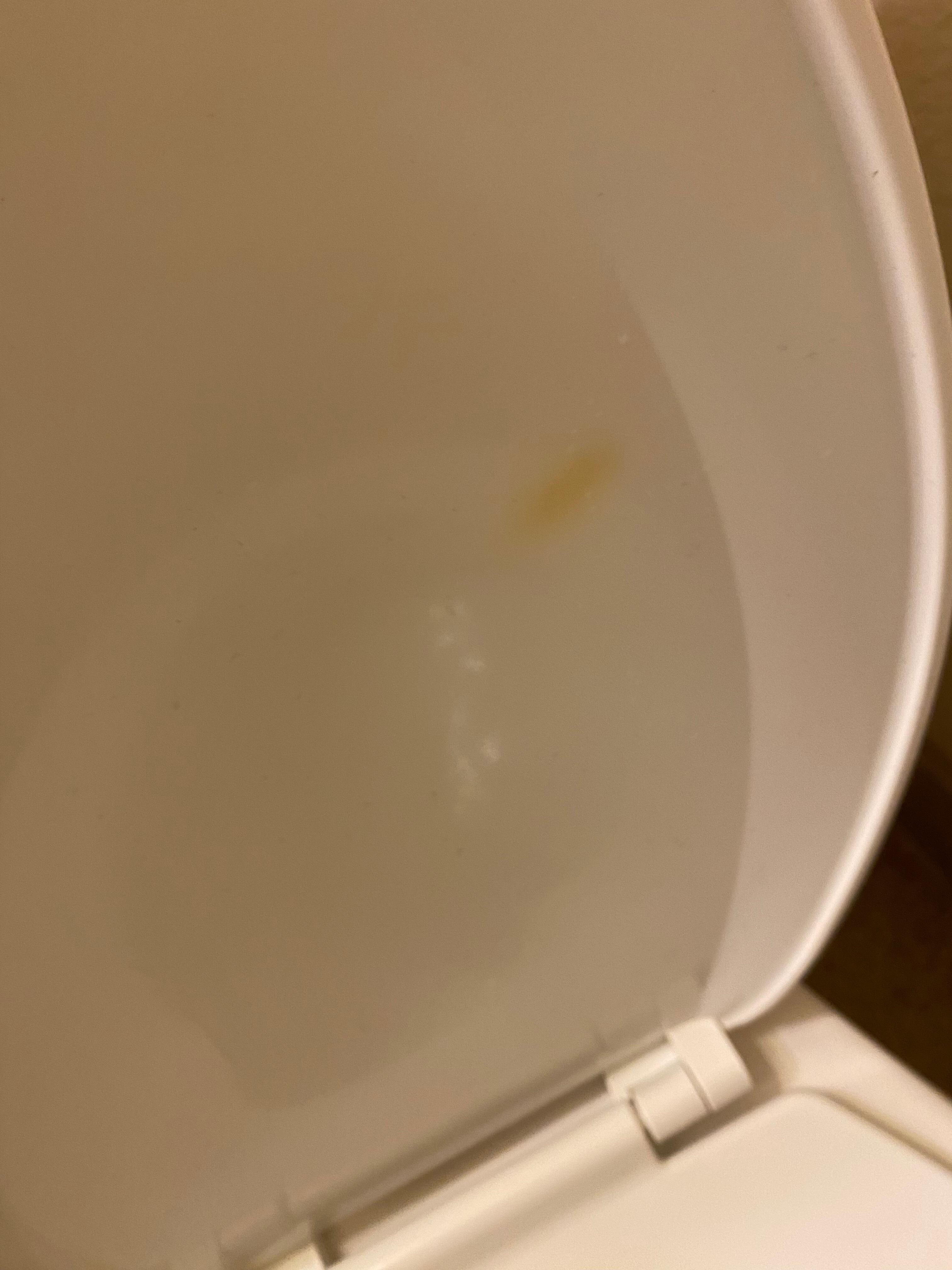 Burn on toilet cover