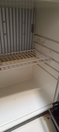Mold in minirefrigerator