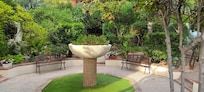 Side garden